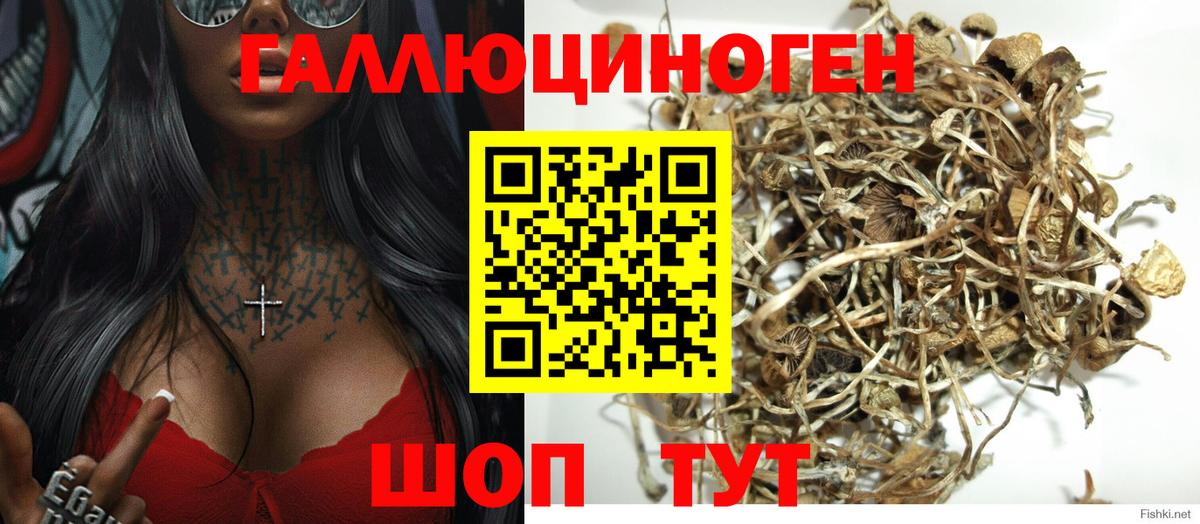 Галлюциногенные грибы MAGIC MUSHROOMS Новодвинск